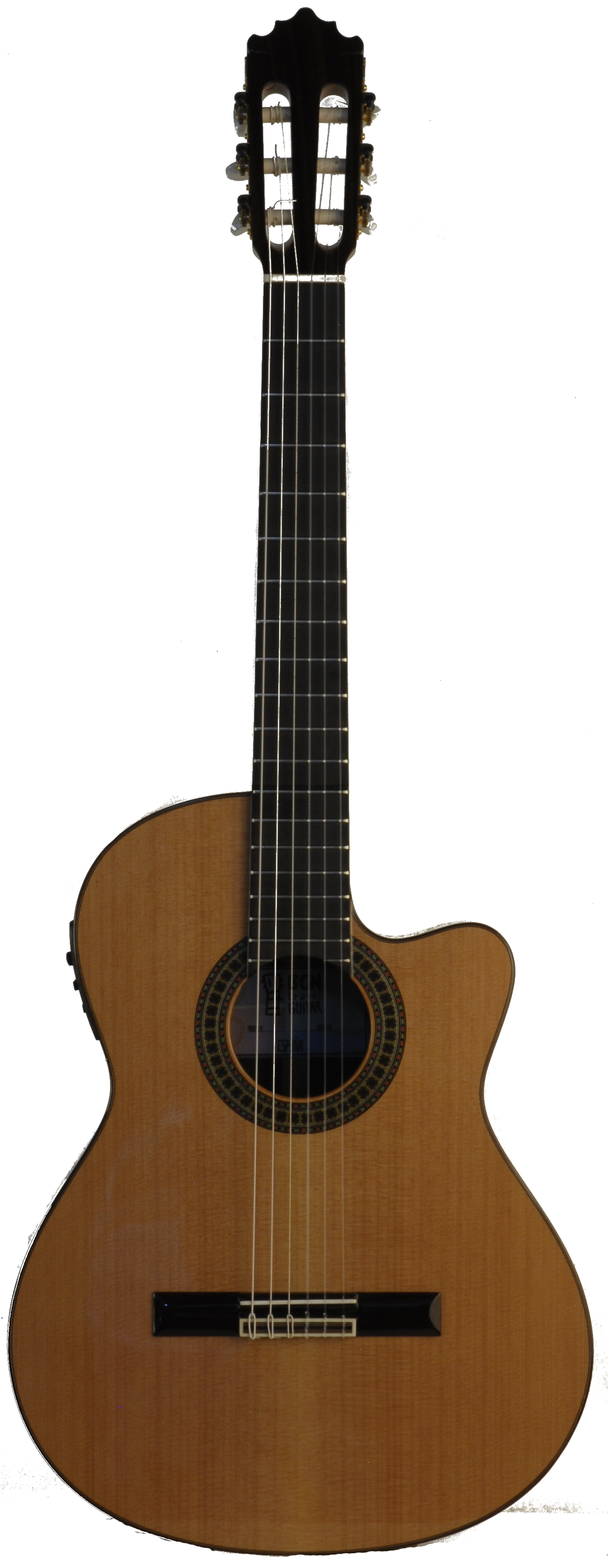 Paco Castillo 224CE Cutaway desmontable Sistema Pullaway – Bajo pedido