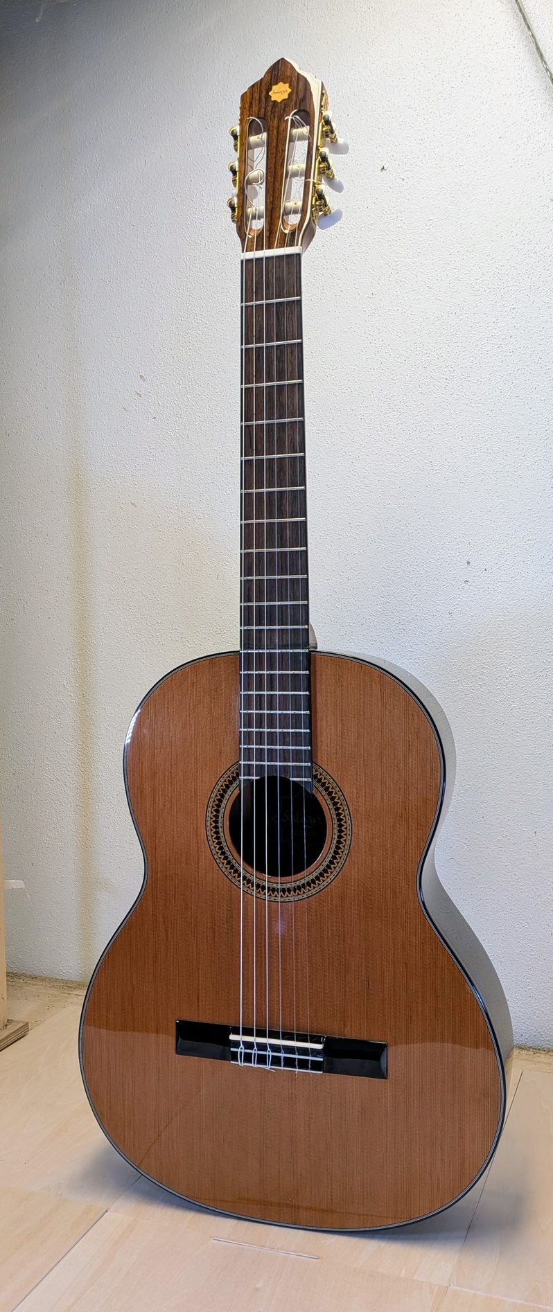 Guitarra Sulayr transformada sistema Pullaway