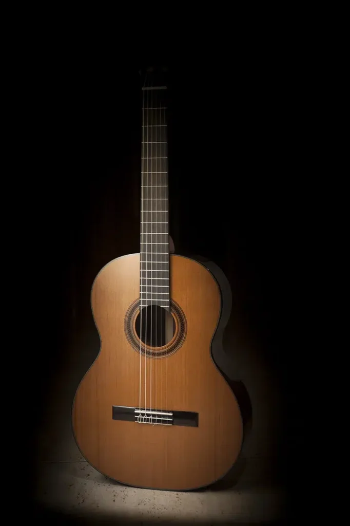 travel with guitar on plane