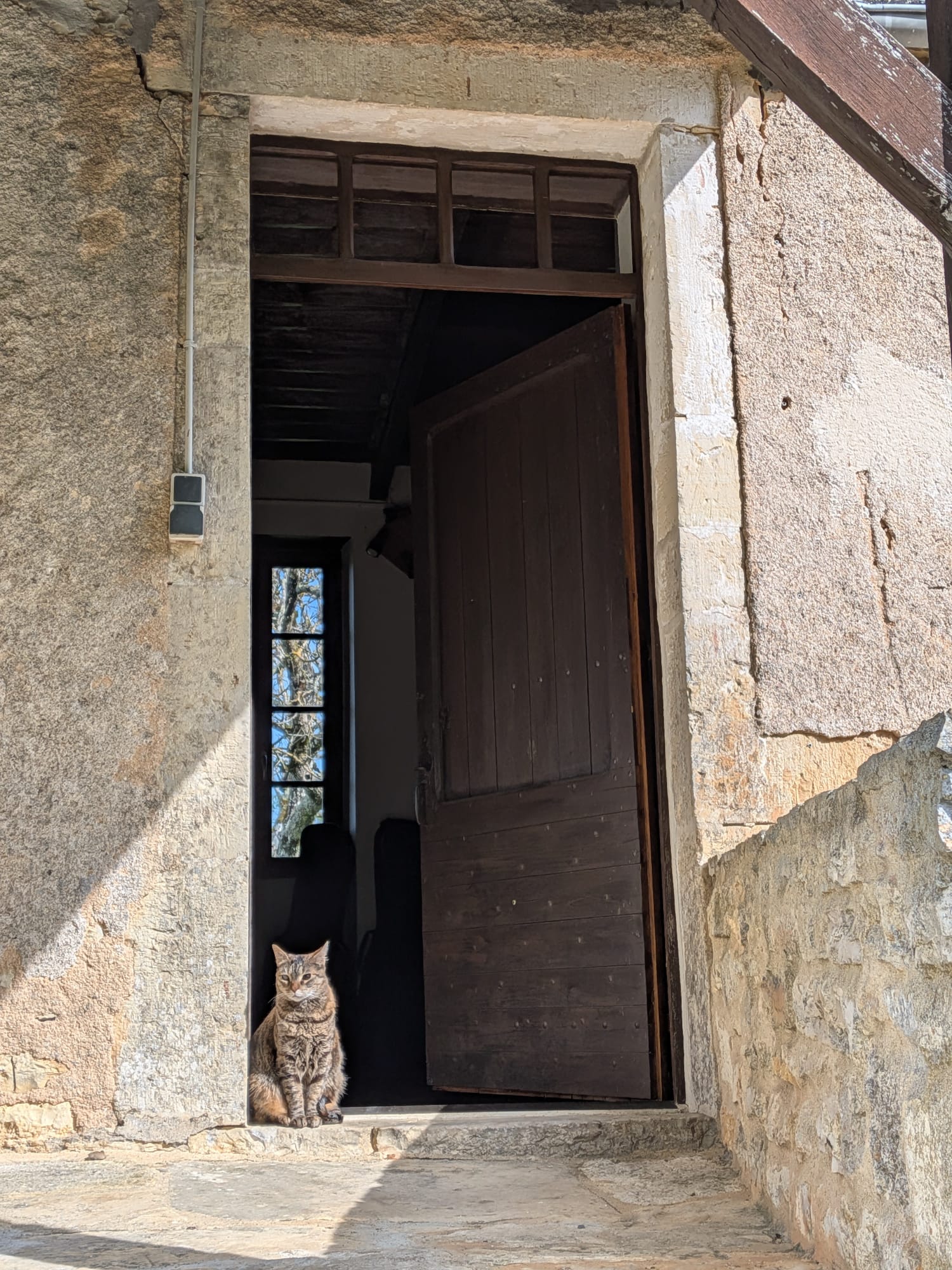 Gato guardián sentado en la puerta de entrada del atelier NRG en Les Arques