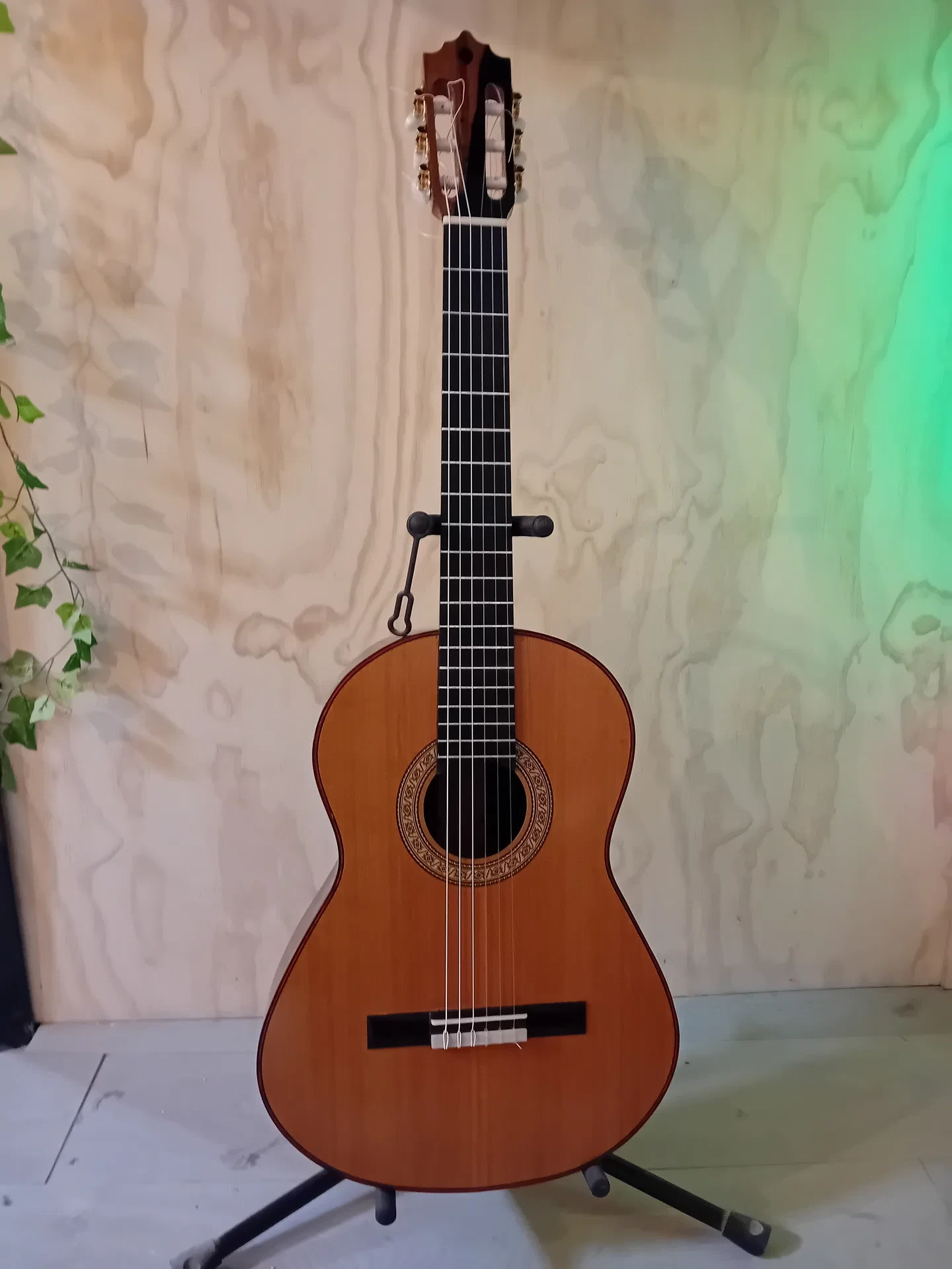 Guitarra desmontable cedro y cocobolo Sistema Pullaway